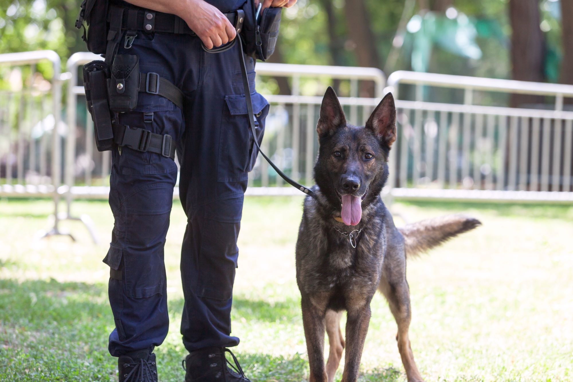 Diensthundeführer Polizei Österreich
